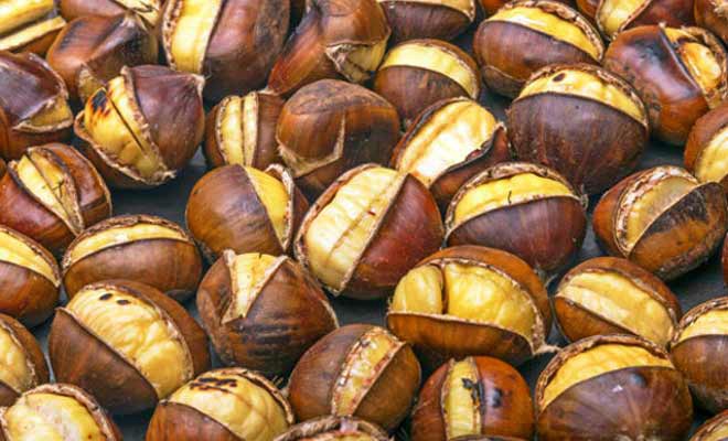 Kestane Nedir? Nerelerde Yetişir?